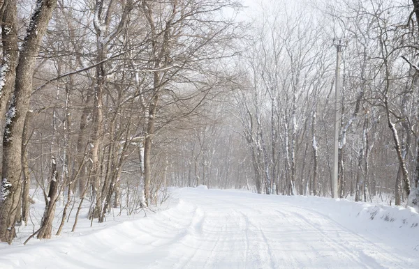 Strada invernale — Foto Stock