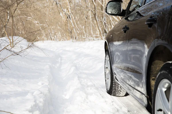 Car in forest — Stock Photo, Image