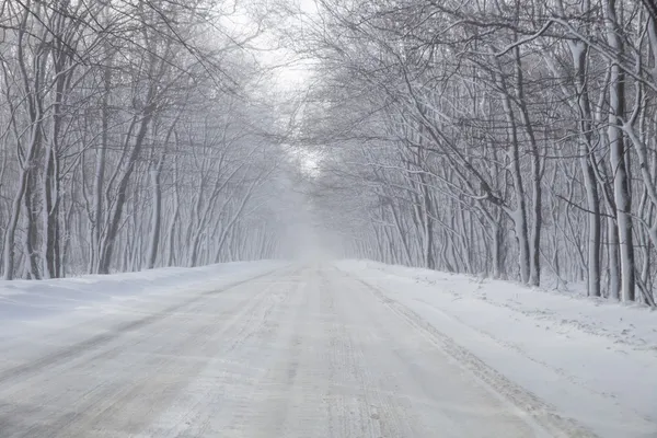 Droga zimowa — Zdjęcie stockowe
