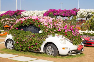 Dubai, Birleşik Arap Emirlikleri - 20 Ocak: mucize Bahçe Dubai Ocak 20,