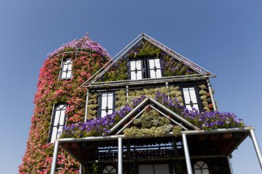 Dubai, Birleşik Arap Emirlikleri - 20 Ocak: mucize Bahçe Dubai Ocak 20,