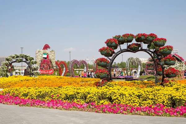 DUBAI, Emirados Árabes Unidos - JANEIRO 20: Miracle Garden em Dubai, em 20 de janeiro , — Fotografia de Stock