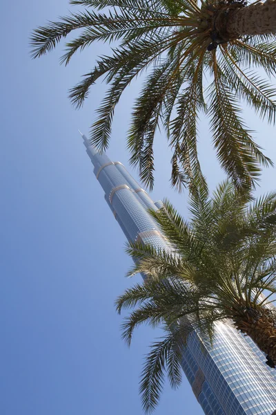 DUBAI, UNITED ARAB EMIRATES - JANUARY 20: Tower Burj Khalifa — Stock Photo, Image