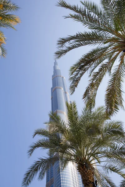 DUBAI, EMIRATOS ÁRABES UNIDOS - 20 DE ENERO: Tower Burj Khalifa —  Fotos de Stock