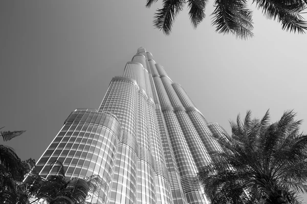 DUBAI, UNITED ARAB EMIRATES - JANUARY 20: Tower Burj Khalifa — Stock Photo, Image