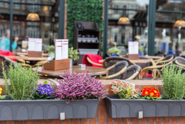 Bir kafede güzel çiçekler