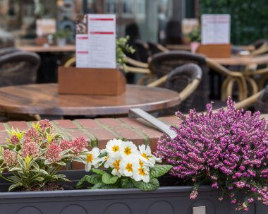 Bir kafede güzel çiçekler