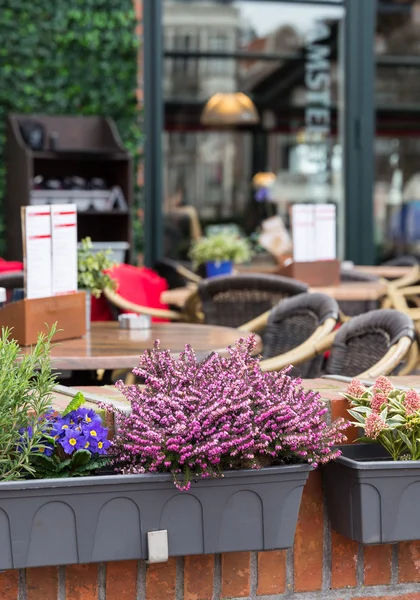 Hermosas flores en un café — Foto de Stock