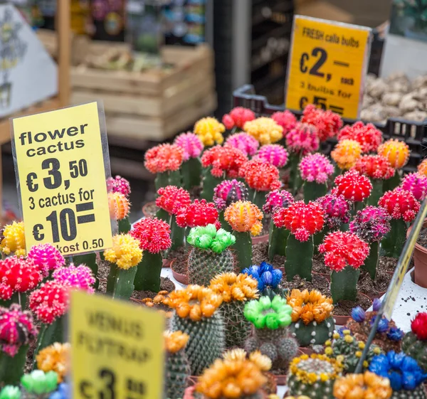 Mercado de flores —  Fotos de Stock