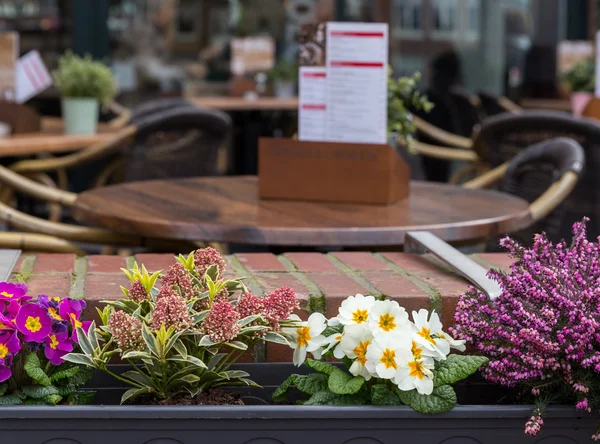Hermosas flores en un café —  Fotos de Stock