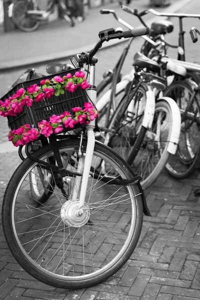 Bike — Stock Photo, Image