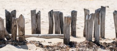 Meksika 'daki güzel bir Karayip sahilindeki eski iskeleden eski ahşap kirişler.