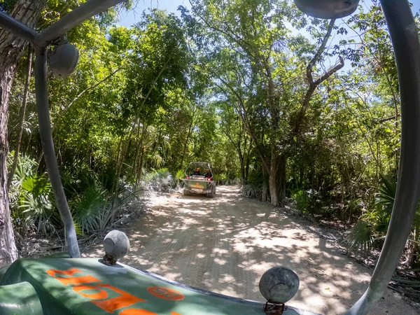 Cancun, Mexiko - 16 september 2021: Xplor park amfibiefordon. Xplor är en äventyrspark i Riviera Maya Royaltyfria Stockfoton