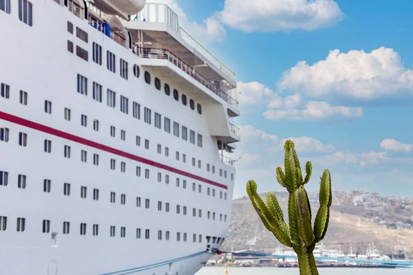 Nave da crociera in porto in Messico con cactus in primo piano — Foto Stock