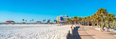 Clearwater Sahili, Florida Usa 'da güzel beyaz kumları var.