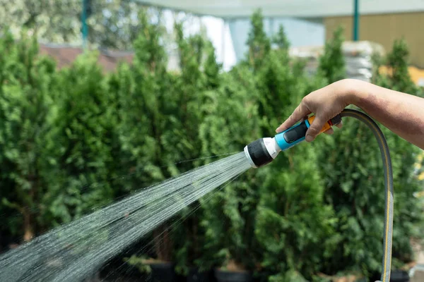 Plantas de riego de jardinería usando manguera en una tienda de jardín — Foto de Stock