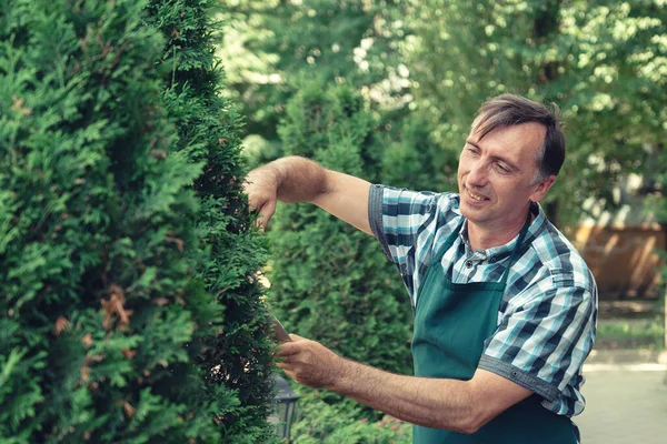 Hombre con tijeras de jardín cortando arbustos y árboles en el jardín — Foto de Stock