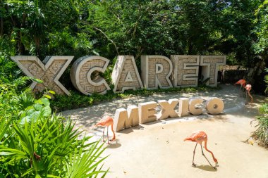 Cancun, Meksika - 13 Eylül 2021: Meksika 'da pembe flamingolu Xcaret tema parkı giriş tabelası