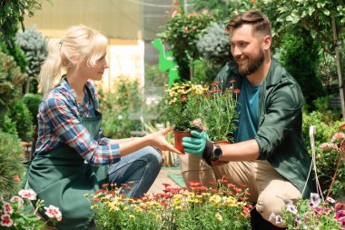 Bahçıvanlar bahçe merkezinde çiçeklerle çalışıyorlar.
