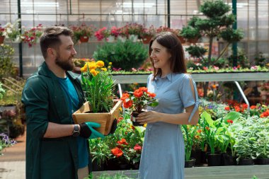 Worker helping female customer with plant in garden center