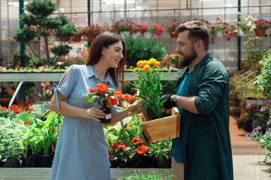 Worker helping female customer with plant in garden center