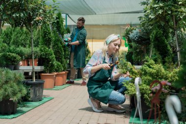 Gardeners work in modern nursery plant store in greenhouse