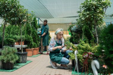 Gardeners work in modern nursery plant store in greenhouse