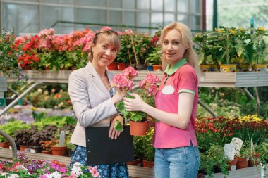 Gardener and his manager work in modern nursery plant store with a clipboard in greenhouse