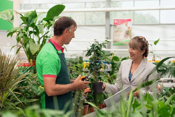 Gardener man advising female client during buying plants in garden center