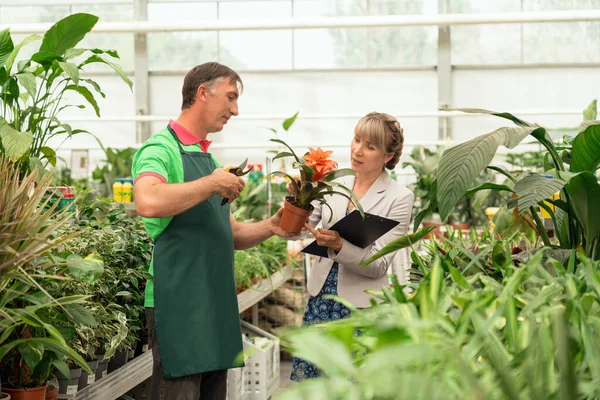 Gardener and his manager work in modern nursery plant store with a clipboard in greenhouse