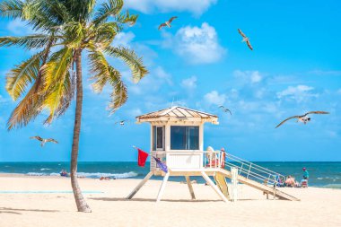 Seafront beach promenade with palm trees in Fort Lauderdale