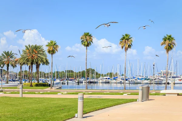 Bay with many yachts in St. Petersburg, Florida, USA