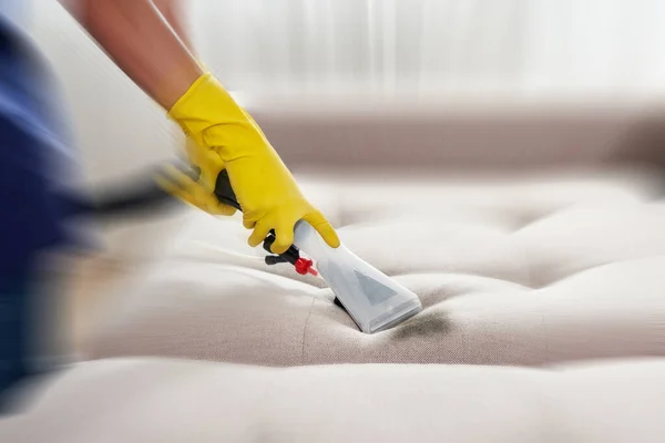 Dry cleaning worker removing dirt from sofa indoors