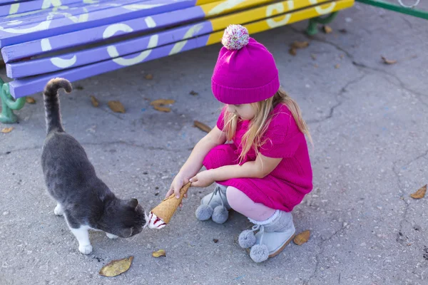 Funny little girl feeds a cat — Stock Photo, Image