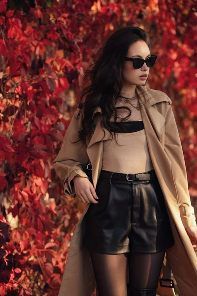 Fashion Outdoor Foto Van Mooie Vrouw Met Donker Haar Elegante — Stockfoto