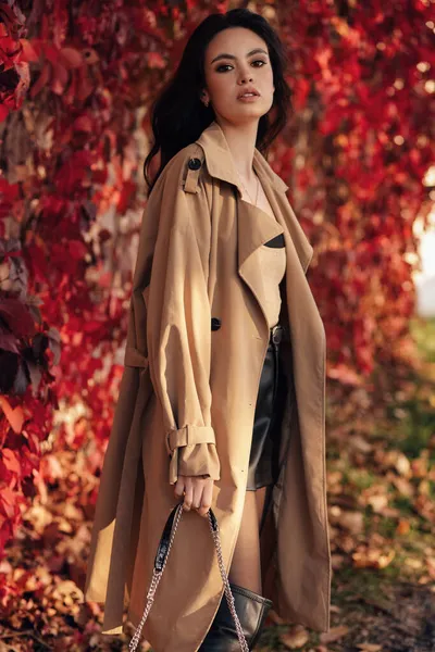 Foto Moda Aire Libre Hermosa Mujer Con Pelo Oscuro Ropa —  Fotos de Stock