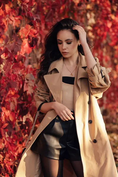 Fashion Outdoor Photo Of Beautiful Sexy Woman With Dark Hair In Elegant Red  Suit With Accessories Walking By The Street Stock Photo, Picture and  Royalty Free Image. Image 119892401.