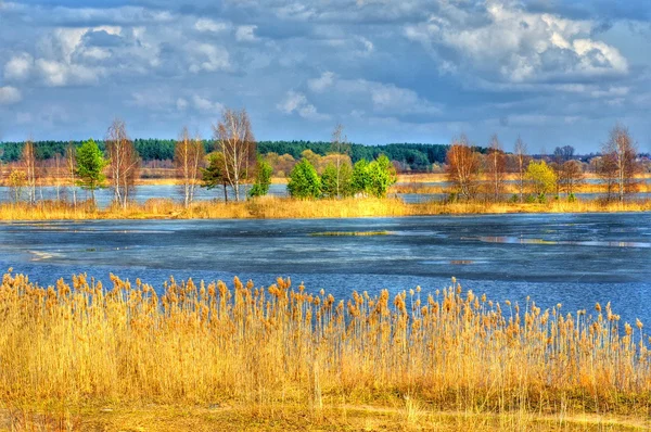 defne Nehri