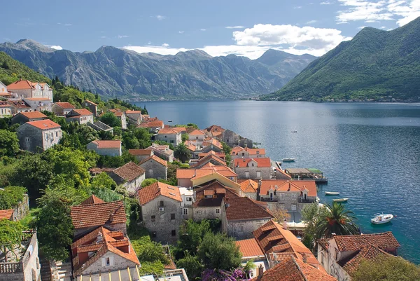 Perast şehir ve kotor Körfezi, Karadağ — Stok fotoğraf