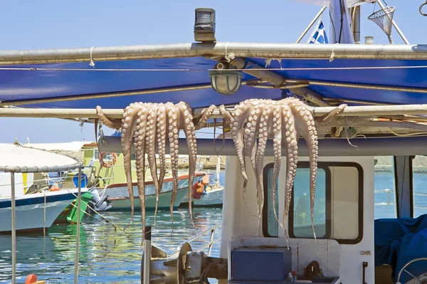 Pesca di successo — Foto Stock