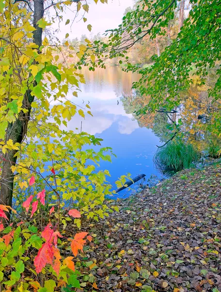 Poesjtsja-vodytsia-vijver — Stockfoto