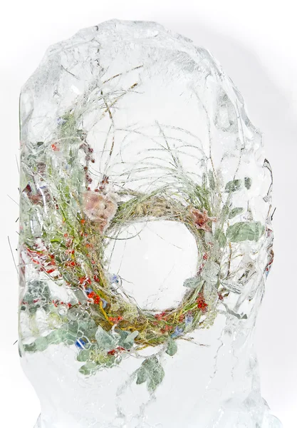 冷凍の花輪 — ストック写真