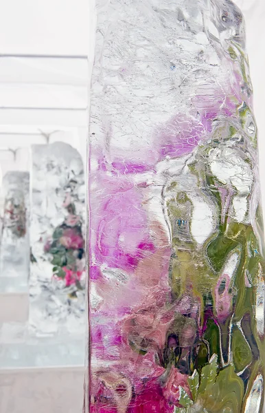 The ice blocks with alive flowers — Stock Photo, Image