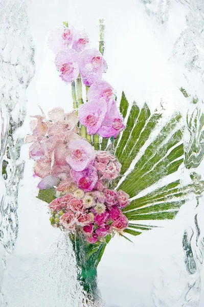 Букет замороженной орхидеи — стоковое фото