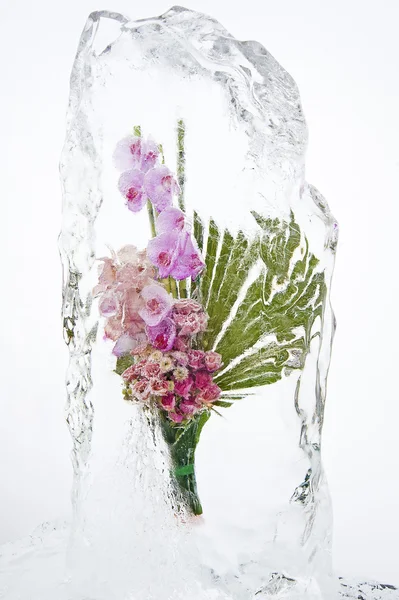 Frozen orchid bouquet 2 — Stock Photo, Image