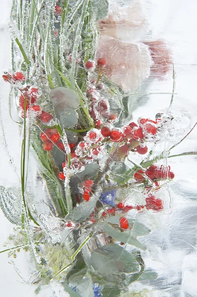 Gefrorenes lebhaftes Bouquet mit Beeren im Eisblock — Stockfoto