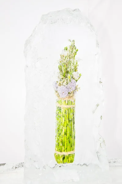 Frozen bamboo bouquet — Stock Photo, Image
