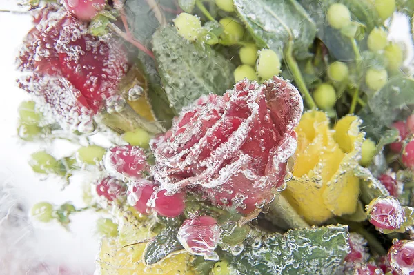 暗赤色のバラの花束を冷凍 — ストック写真