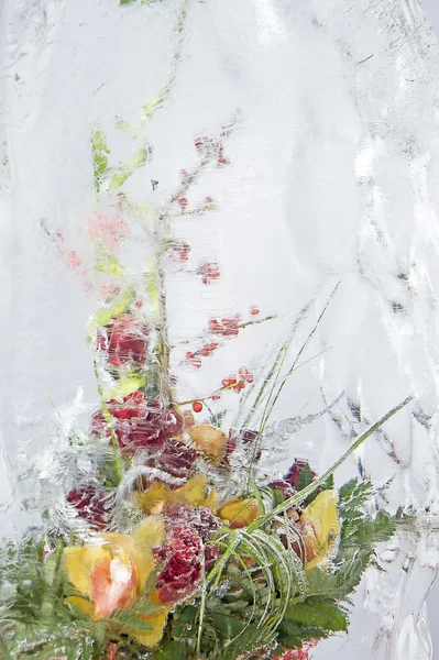 Frozen colorful bouquet — Stock Photo, Image