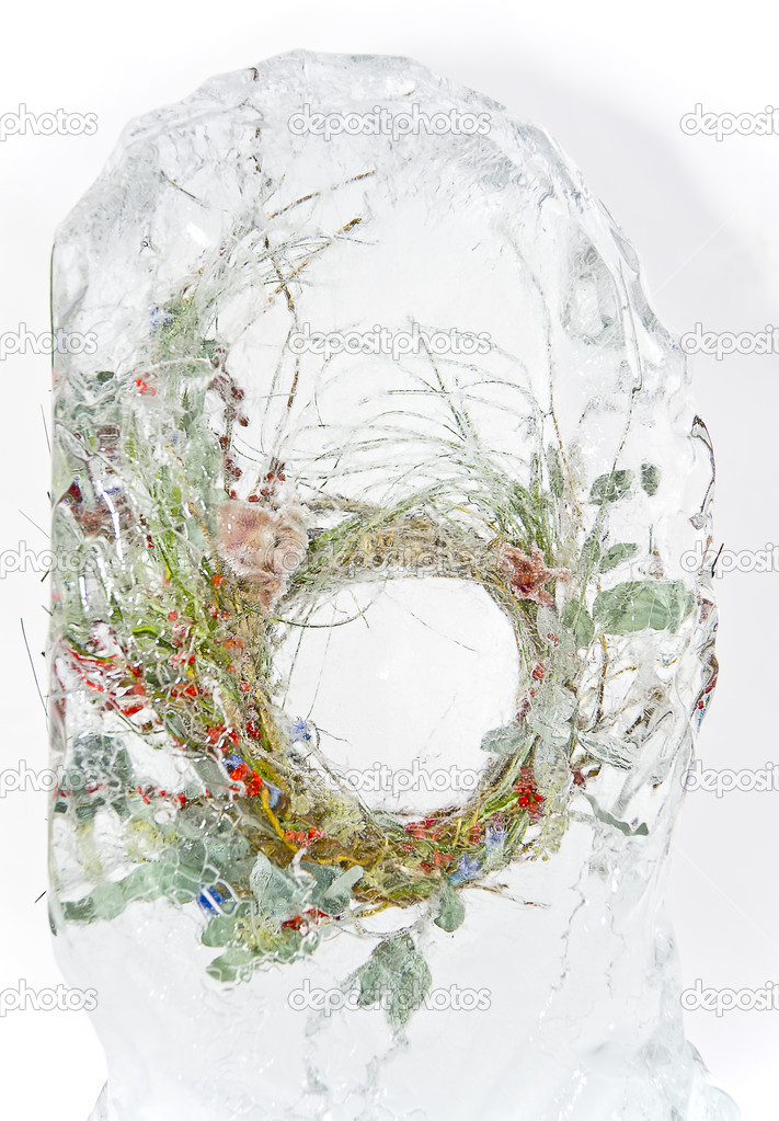 Frozen wreath